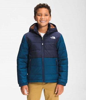 Chaquetas The North Face Reversible Mount Chimbo Niño Azules | 3928105-YM