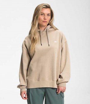 Sudadera con Capucha The North Face City Standard Mujer Gris | 7051863-OX