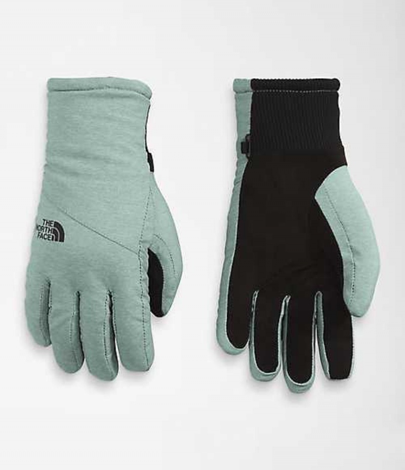 Guantes The North Face Shelbe Raschel Mujer Verde | 3794520-PV